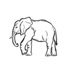 Black elephant. PNG illustration.