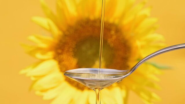 Slow motion footage of sunflower oil pouring into tablespoon against the backdrop of blooming yellow sunflower. Production of sunflower oil for food, cooking. Agriculture, agribusiness