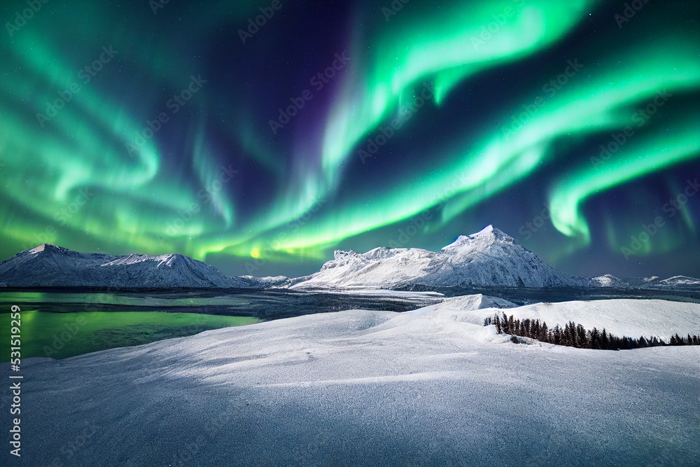 Wall mural northern lights over lake. aurora borealis with starry in the night sky. fantastic winter epic magic