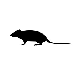 Black rat silhouette. PNG illustration.