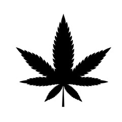 Cannabis leaf. PNG. 