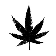 Cannabis leaf. PNG. 