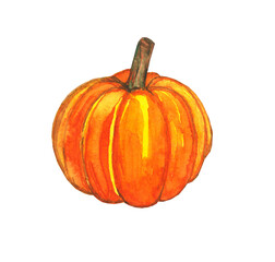 Bright yellow orange pumpkin