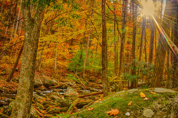 Autumn cascades on the Little River with sunrays in the Smoky Mountains National Park Tennessee