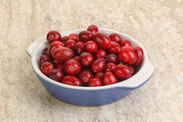 Ripe sweet tasty cranberry in the bowl