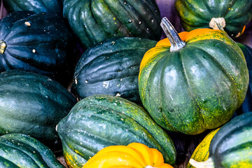 Kürbis, Acorn, grün, Cucurbita Pepo, Speisekürbis, Kürbisernte, Kürbisrezepte, Herbstmarkt, Herbstfest, Herbstdekoration, Herbst, Baselland, Schweiz