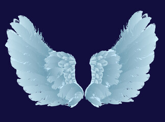 cyan wings isolated on blue background