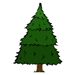 Tannenbaum