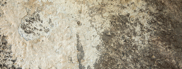 Gray wall background