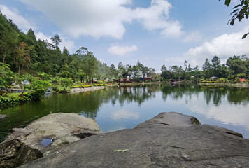 Tropical Lake View