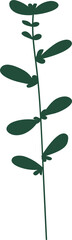 Green plant leaf. Minimalist botanical design element. 