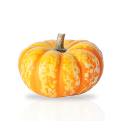 pumpkin isolated on white