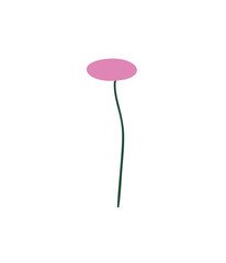 A colorful simple flower. Botanical design element. 