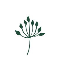 A colorful plant leaf. Botanical design element. 