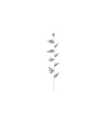 Floral design element. Botanical detail in a simple minimalist style. Green leaf. 