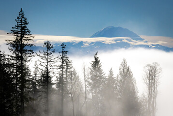 Mount Rainier cloud inversion from Tiger Mountain