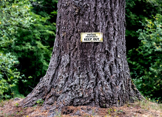Old private property keep out sign on tree trunk