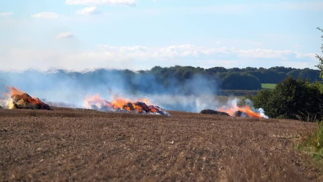a field with orange fires and grey smoke rising burning wheat stubble from the summer's harvest under a clear blue sky