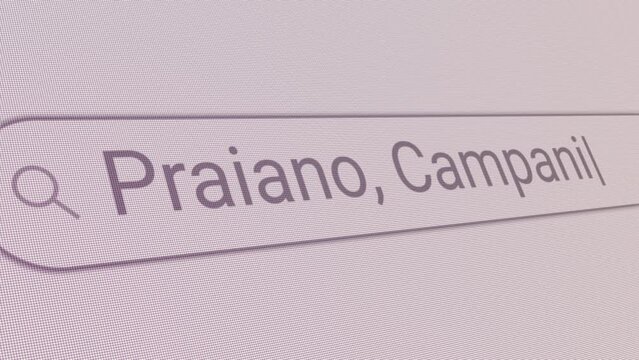 Search Bar Praiano Campania 
Close Up Single Line Typing Text Box Layout Web Database Browser Engine Concept
