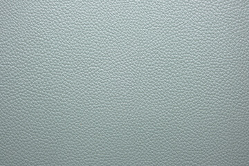 Abstract background, greenish gray skin texture.