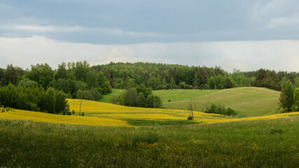 Landscape with green field and sky.