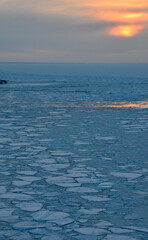 Japan's drift ice, synonymous with extreme cold