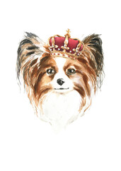 Watercolor papillon illustration, cute dog breed, hipster portrait,funny character, cartoon dog in costume,clothes, accessories, hat, poster, card, invite, print,printable, flyer,it's a boy,diy