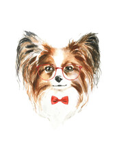 Watercolor papillon illustration, cute dog breed, hipster portrait,funny character, cartoon dog in costume,clothes, accessories, hat, poster, card, invite, print,printable, flyer,it's a boy,diy
