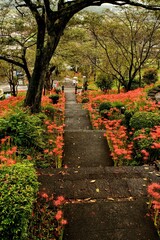 path in autumn park