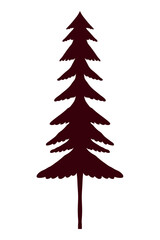 coniferus pine silhouette