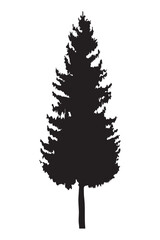 pine tree plant silhouette