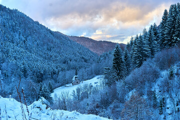 winter landscape with snow covered trees