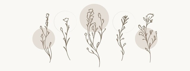 A collection of herbs in a modern linear style on a nude background. Herbal set. Banner.