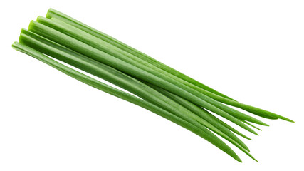 Green Onion isolated on white background, full depth of field, clipping path