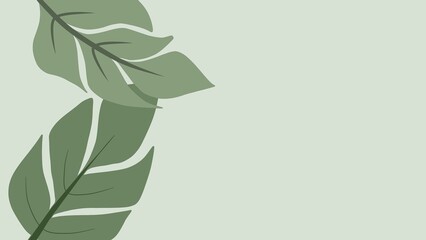 leaves on a white background