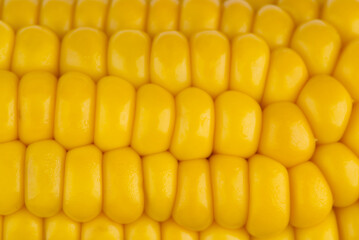 The texture of corn grains on a patch of closeup