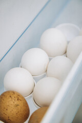 World Egg Day and raw brown and white chicken eggs in a container in the refrigerator tray. The concept of natural healthy food and organic food. world egg day.