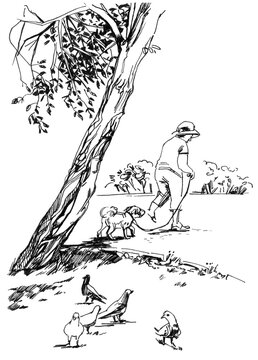 Elderly woman walking in the park with her dog. Outline sketches trees from nature. Hand drawing in pencil and liner. Black and white illustration