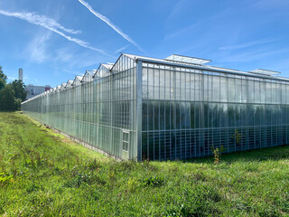 Big greenhouse with plants