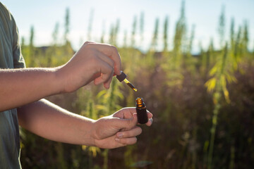 Hand holding a cbd dropper bottle between hemp plant flowers for oil production, close up shot.