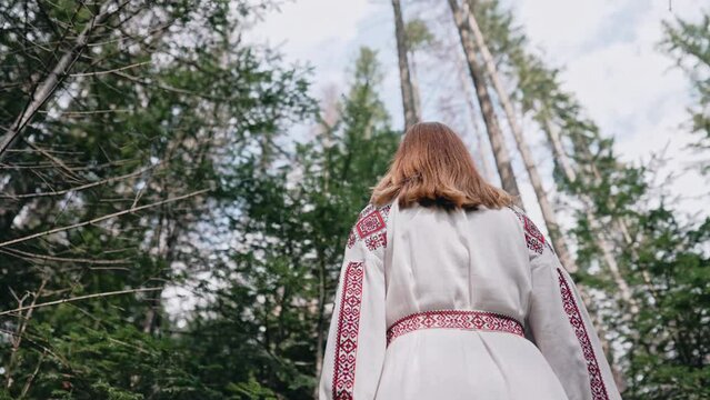 Back view of ukrainian woman stands in fir forest, Carpathian mountains nature. Girl in traditional embroidery vyshyvanka dress. Ukraine, freedom, ethnic national costume