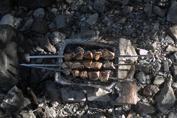 Roasted meat on the stones on the grill