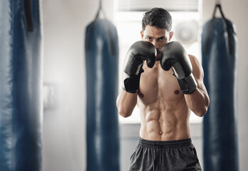 Boxer, cardio and man training with boxing gloves for sport, workout and exercise in gym. Athlete...