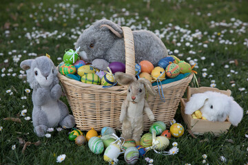 Osterhasen auf der Wiese