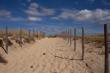 Summer day,sand landscape,wind trails, sand dunes