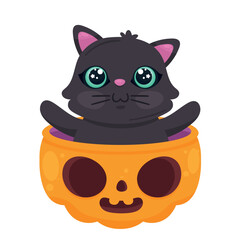 halloween cat in pumpkin