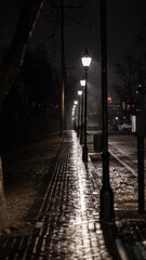 lampposts on a rainy night