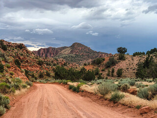 Empty red dirt road in the mountains. Arizona. High quality photo