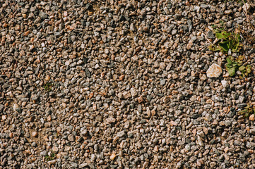 Background, texture of small pebbles. Photo, top view.