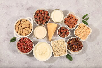 Vegan non-dairy products on a concrete table, plant-based alternative dairy products - milk, cream, yogurt, cheese, nuts, rice, oatmeal, lentils, healthy natural food concept,